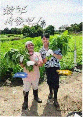 声音试验场 综艺节目在线观看